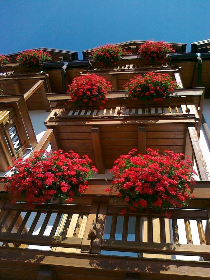 Kapriol Hotel Castello Tesino Ngoại thất bức ảnh